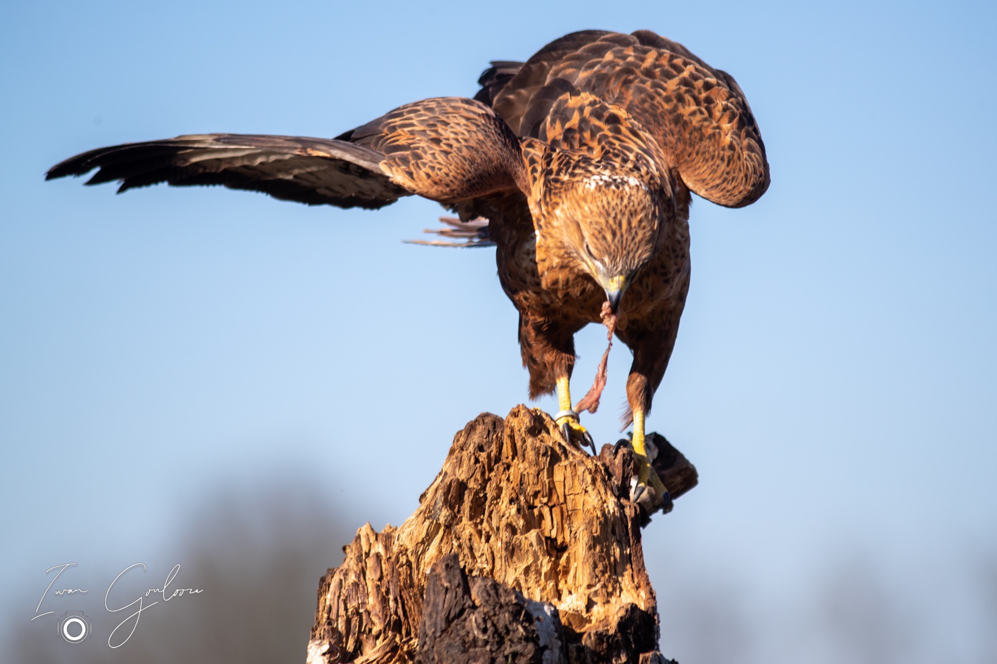 04 maart 2022 150142 1DX43836